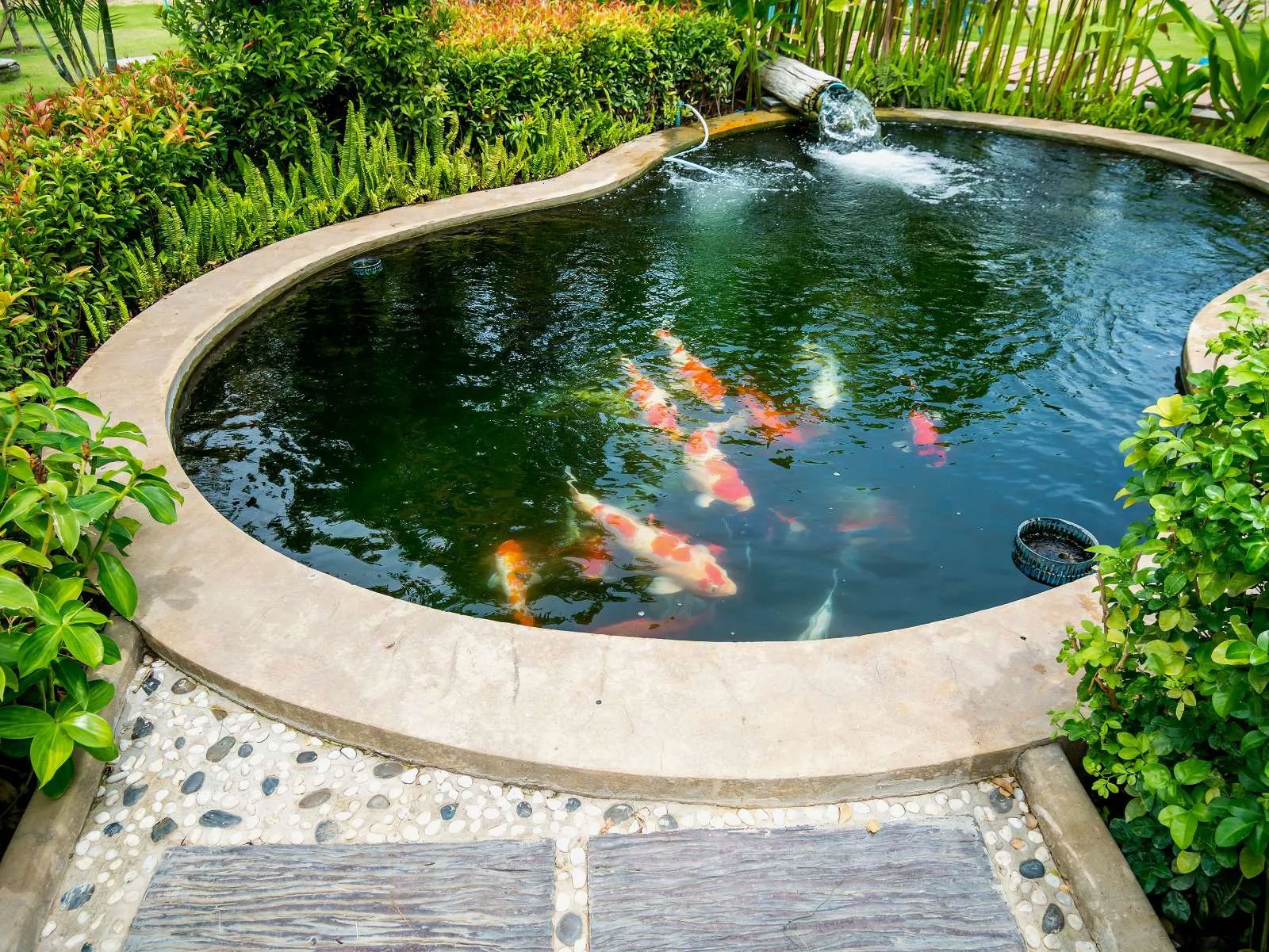 Landscape Design